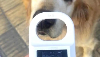 Dra Daniela Monfort, Veterinaria - 15000 Ciudad De La Costa Dra Daniela Monfort, Veterinaria - 15000 Ciudad De La Costa