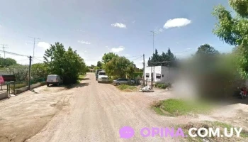 E.d.m. distribuidora - Agraciada S/n