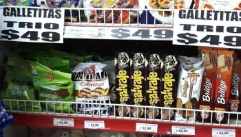 Económico - 70000 Col. Del Sacramento