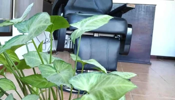 Ef Barber Studio - 75200 Cardona Ef Barber Studio - 75200 Cardona