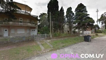 El Barco Escuela De Música - La Floresta