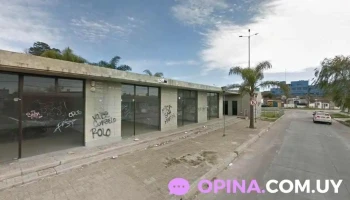 El Matungo - Ramón Tabárez