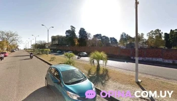 El Mayorista - 60000 Paysandú