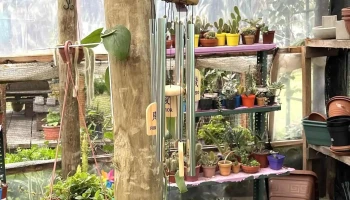 El Rincón de Mariela - 12400 Montevideo