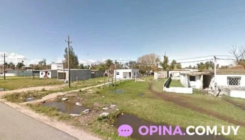 El Toro - Ciudad Del Plata