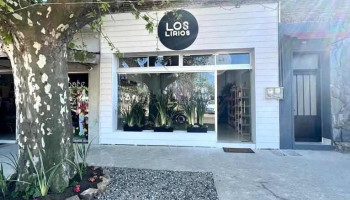 Electro shop San Bautista - San Bautista