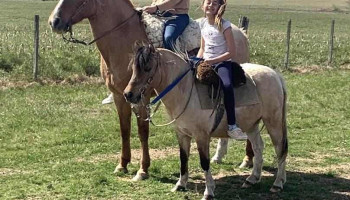 Elias Garula-Establecido Don Elbio - Palmitas