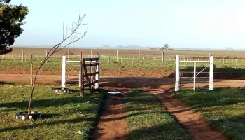 Escuela 108 - Laureles