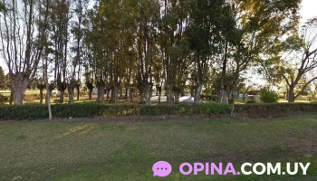 Escuela 15 - Dolores Escuela 15 - Dolores