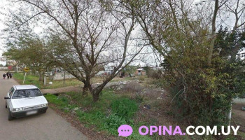 Escuela 166 / 244 El Dorado - Las Piedras