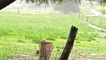 Escuela 23 - Florida Escuela 23 - Florida