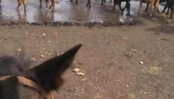 Escuela 6 Belèn - Belén