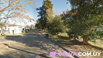 escuela artistica 317 - Las Piedras escuela artistica 317 - Las Piedras