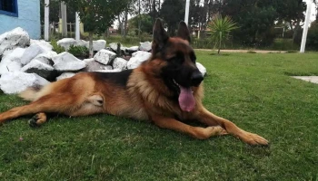 Escuela Departamental de Policía Florida - Florida