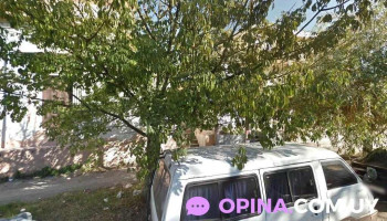 Escuela Joaquín Mestre Nº13 - Montevideo Escuela Joaquín Mestre Nº13 - Montevideo