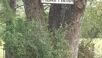 Escuela N 61 Piedra Pintada - Departamento De Artigas