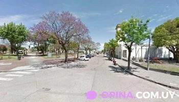 Escuela N° 33 Corralito - Dolores Escuela N° 33 Corralito - Dolores