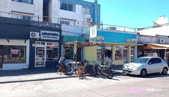 Espacio Verde Grow Shop - Piriápolis