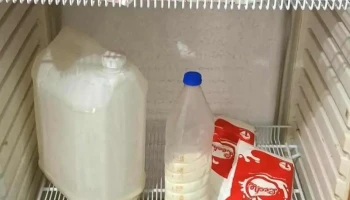 Establecimiento Don Bernacho - 27300 18 De Julio