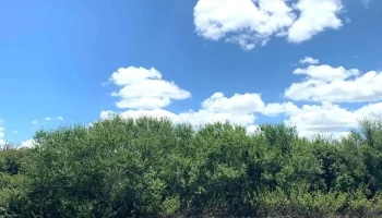 Establecimiento La Querencia - 27300 Velazquez Establecimiento La Querencia - 27300 Velazquez