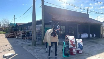 Estacion Ganadera - Gral. Aparicio 37 Estacion Ganadera - Gral. Aparicio 37