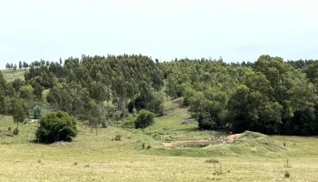 Estancia La Pilona - -54 776877