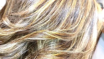 Estética Las Margaritas Beauty - Deolinda Rodríguez De Pollero