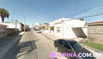 Estilista Flor de Luz ✨️ - 90000 Canelones