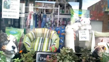 Estilo Canino - 90200 Las Piedras