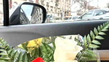 Estudio Janet Rosenchtein - Montevideo Estudio Janet Rosenchtein - Montevideo