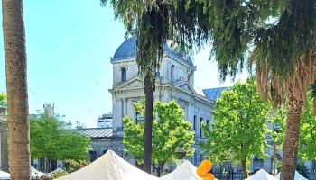 Facultad de Química | Udelar - Montevideo Facultad de Química | Udelar - Montevideo