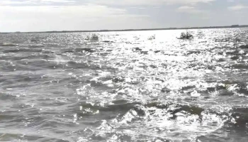 Federaciom - Federación