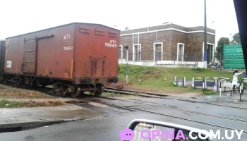 Fénix Fútbol 5 - 11700 Montevideo