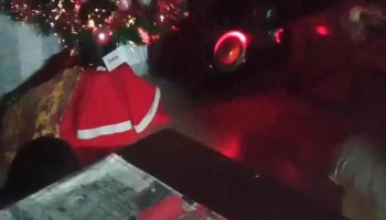 Fertec - 30300 José Pedro Varela