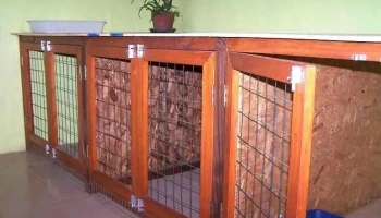 Figaro - 15006 Figaro - 15006