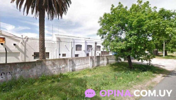 Fini - 12900 Montevideo Fini - 12900 Montevideo