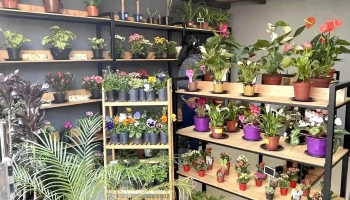 Florama - 70200 Rosario