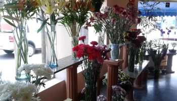 Floreria La Capilla - 20000 Maldonado Floreria La Capilla - 20000 Maldonado