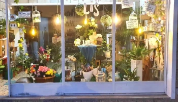 Floreria Lis - José Batlle Y Ordoñez Floreria Lis - José Batlle Y Ordoñez