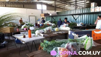 Flores y Plantas Musacco - 13000 Montevideo