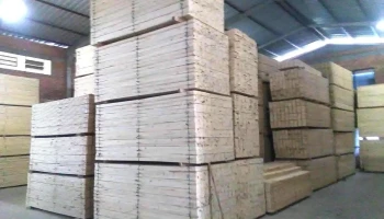 Fm Maderas - Departamento De Canelones