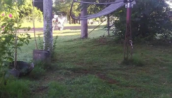 Fm Tambores 105.5 Mhz - C. 10