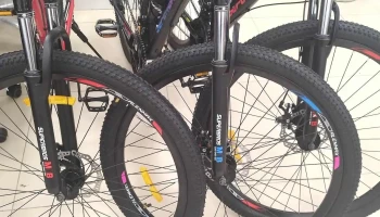 FoCuZ - Departamento De Montevideo