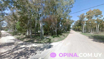 Fonoaudióloga Lic. Araceli Feruglio - Departamento De Canelones