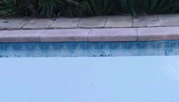 Frigorífico Carlos Schneck - 12400 Montevideo