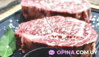 Frigorífico Frigoyi - 97000 Santa Bernardina