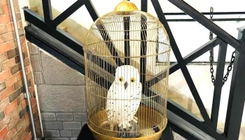 Frikantec - Montevideo Frikantec - Montevideo