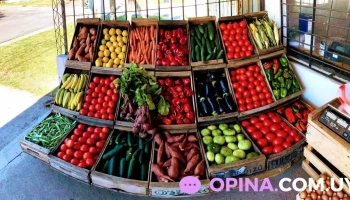 Fru - Vizconde De Mauá Y