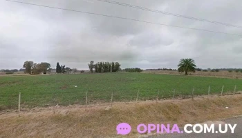 Frusel S.a - 80000 San José De Mayo