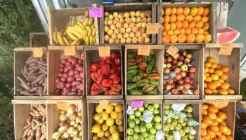 Frutas y verduras La 87 - Departamento De Canelones Frutas y verduras La 87 - Departamento De Canelones